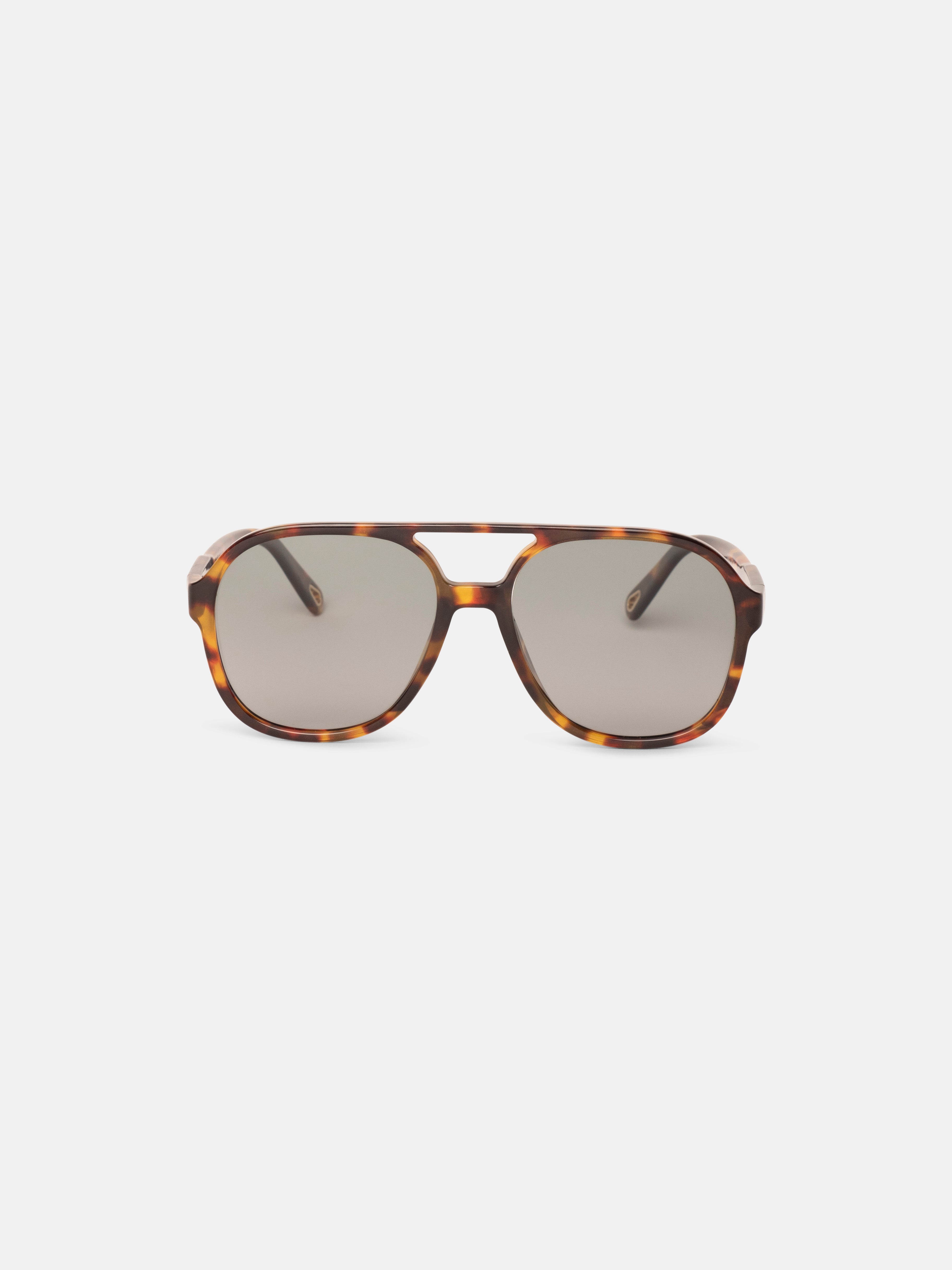 Kim Tortoise Sun