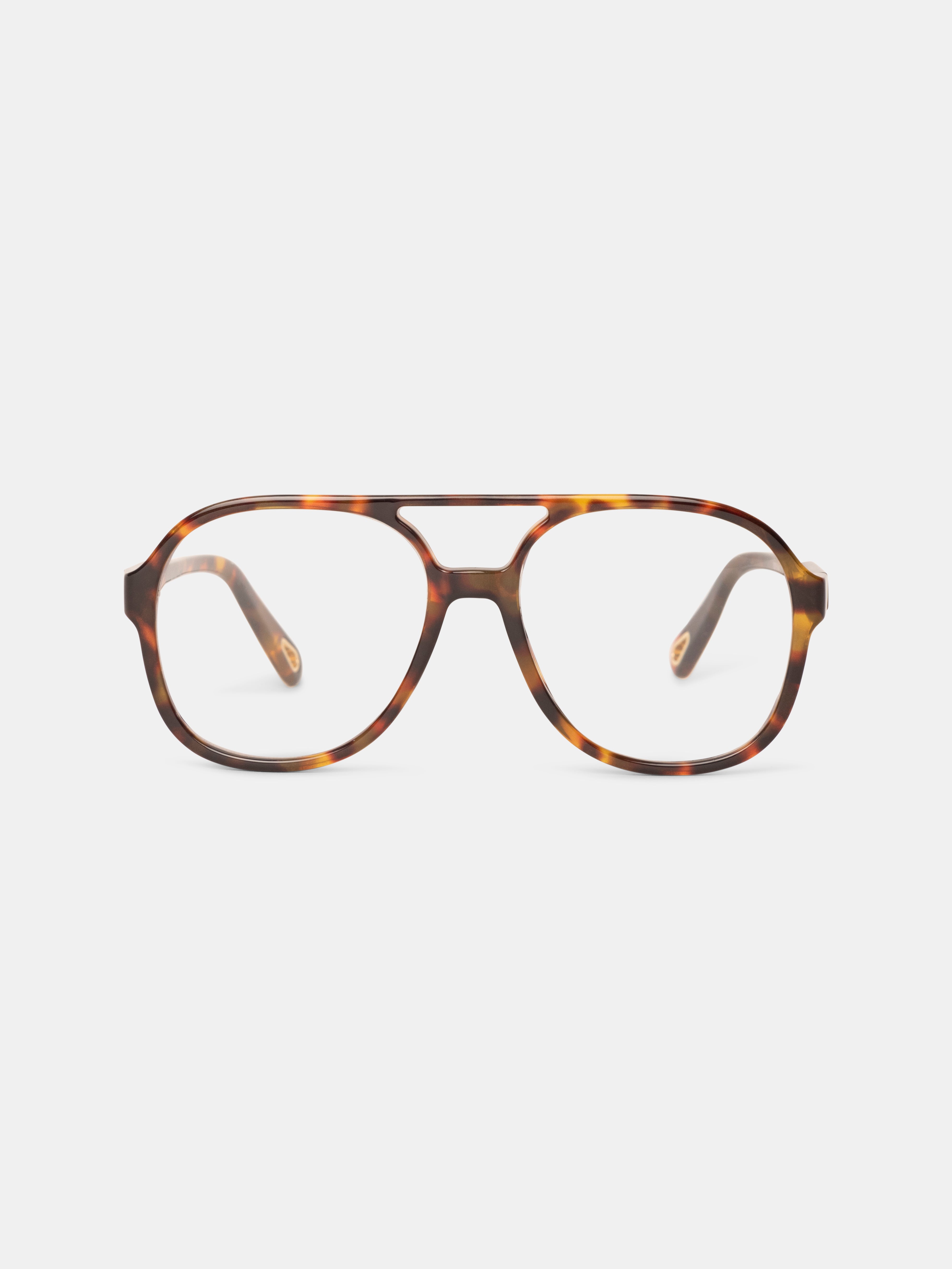 Kim Tortoise Readers