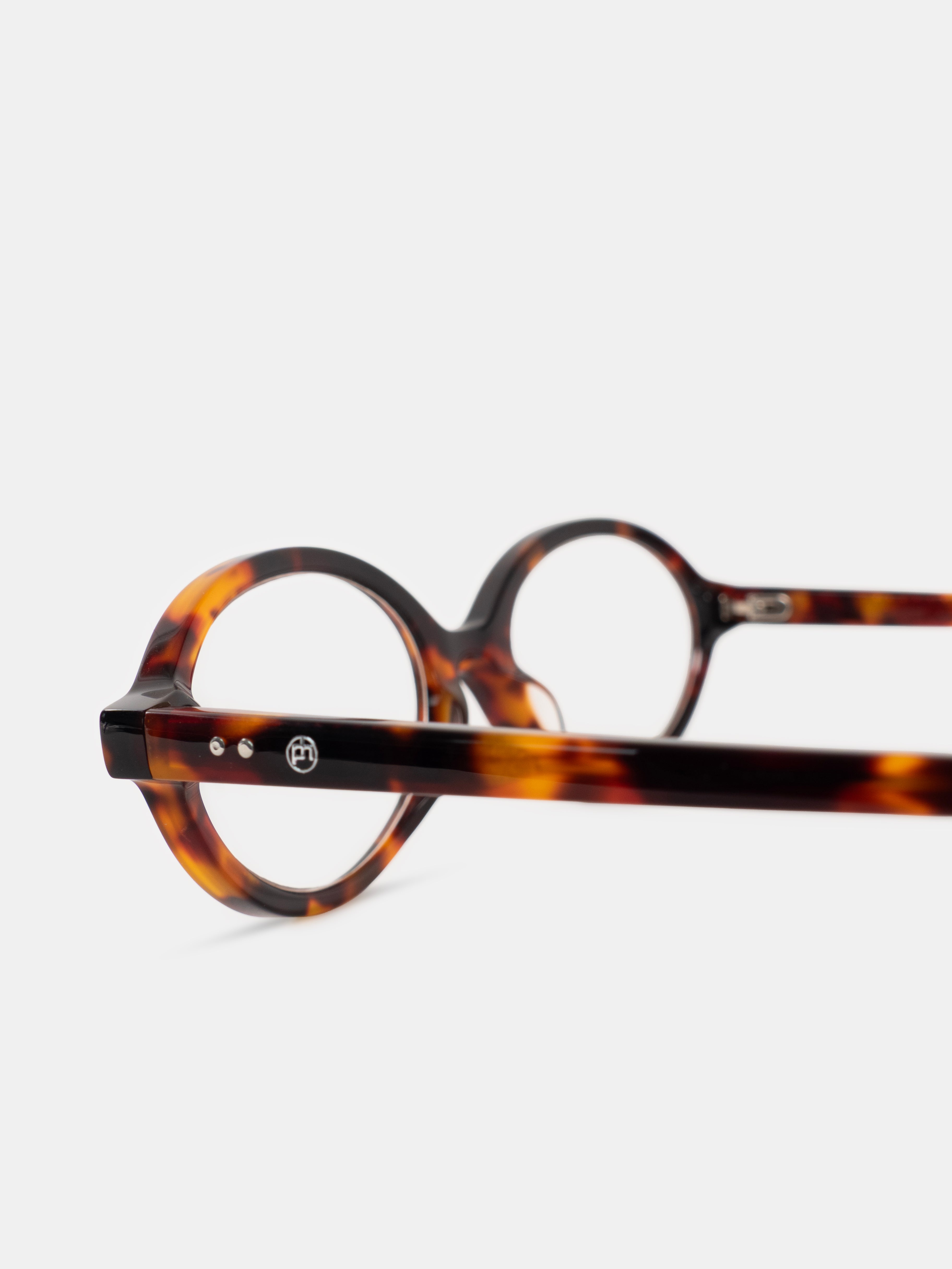 Hailey Tortoise Readers