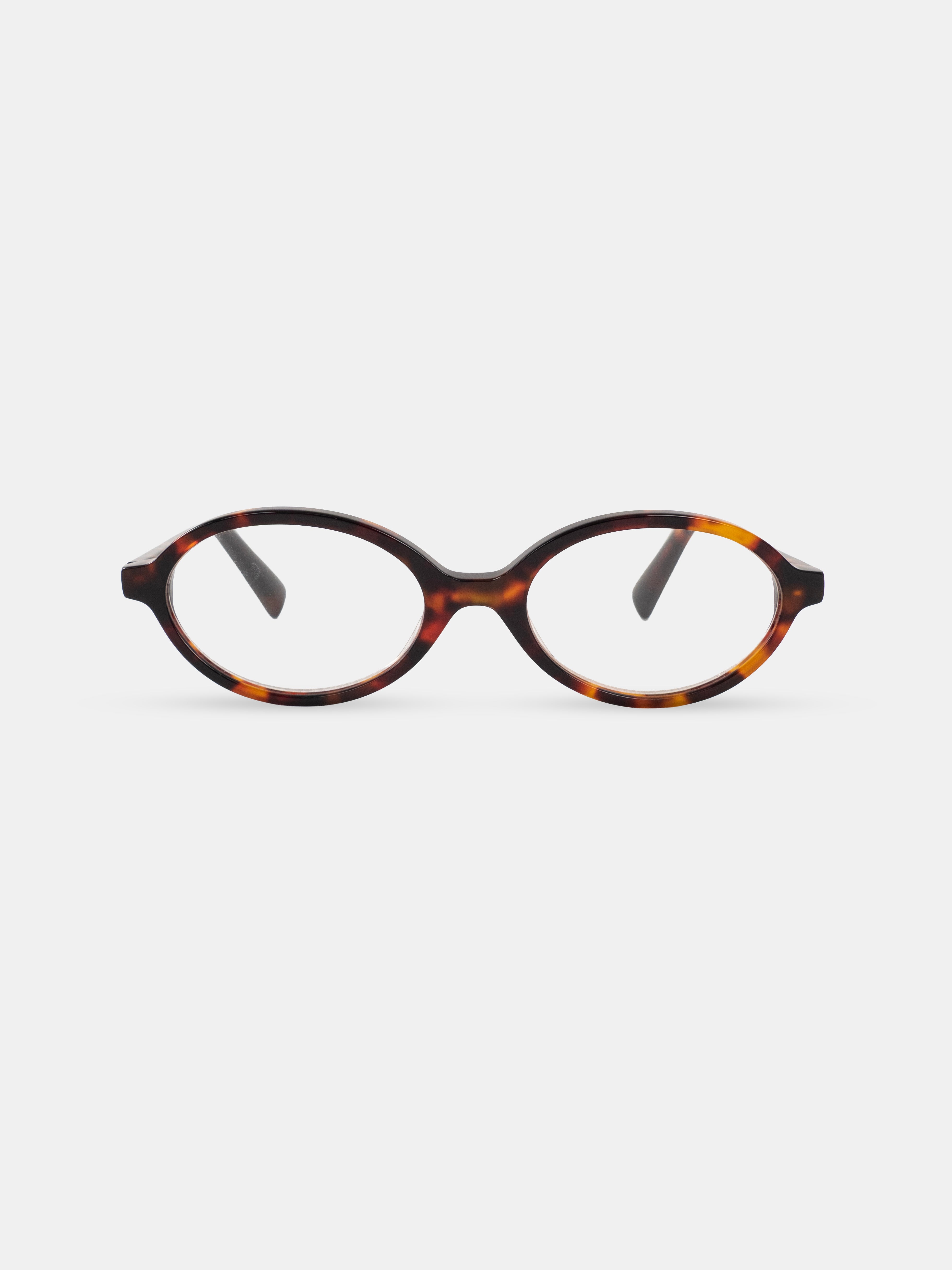 Hailey Tortoise Readers