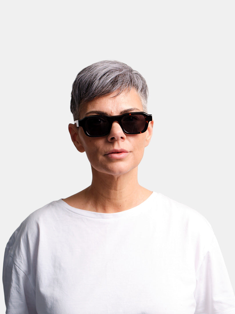 Alex Tortoise Sun