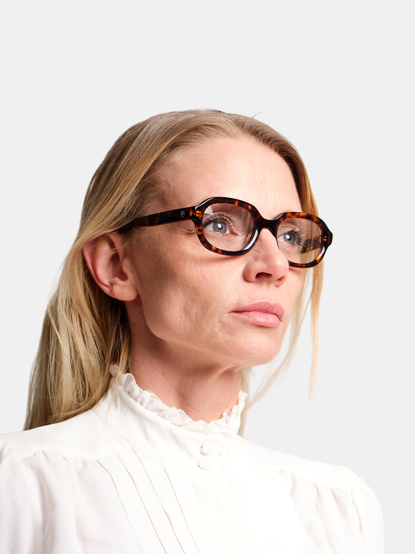 Hedda Tortoise Readers