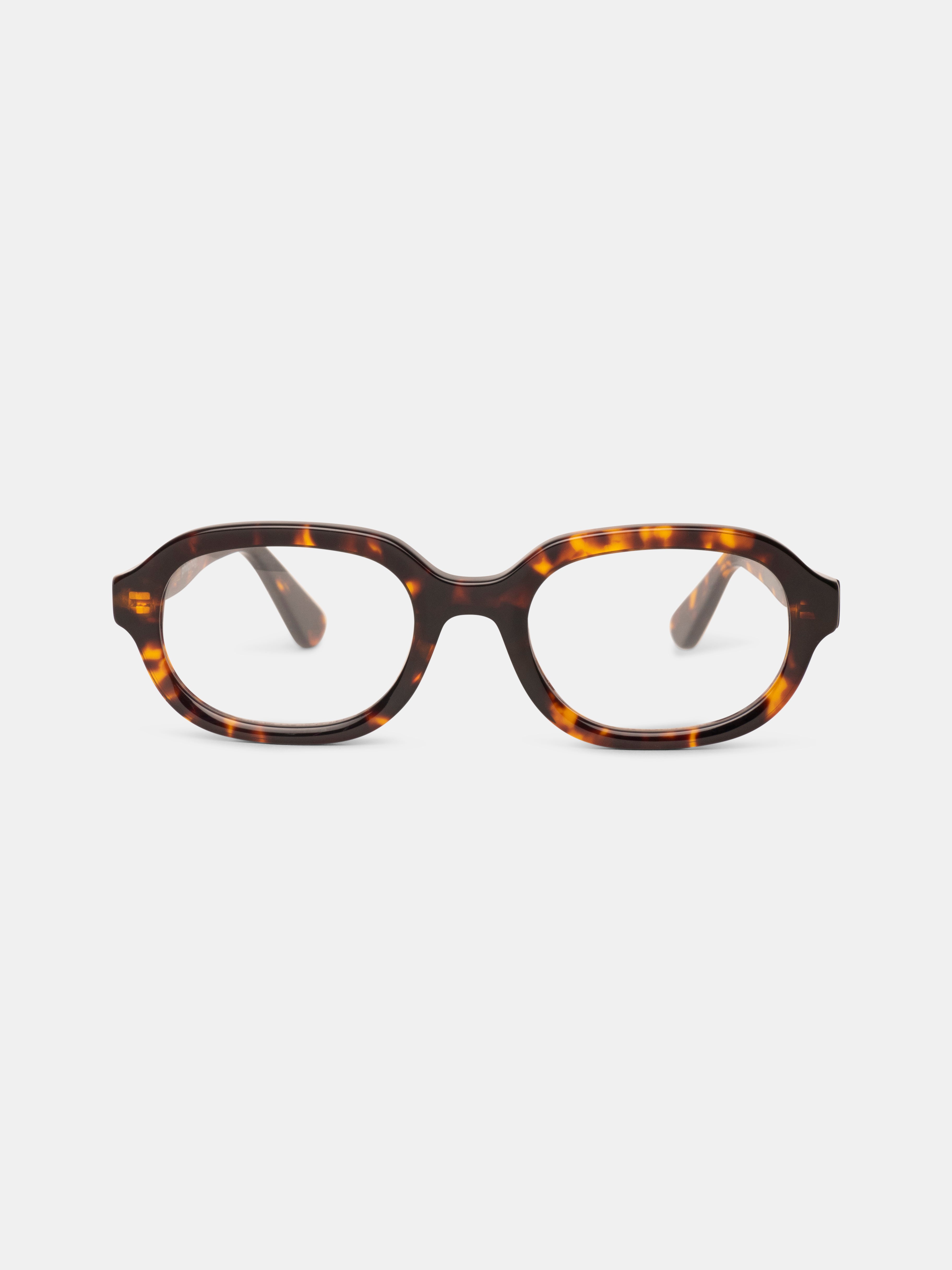 Hedda Tortoise Readers