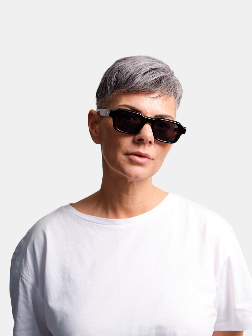 Alex Tortoise Sun