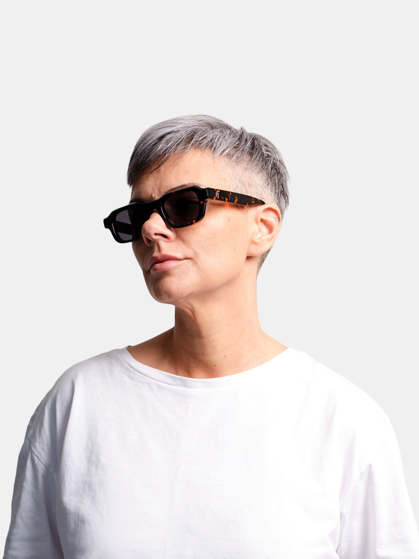 Alex Tortoise Sun